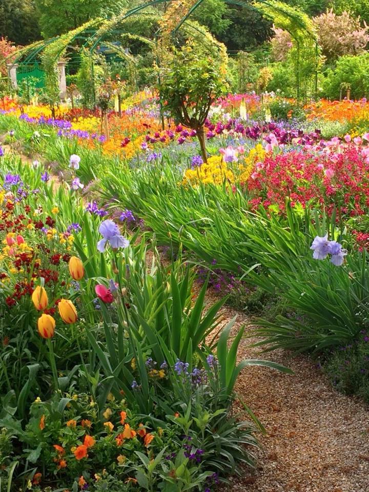 VENTANAS, BALCONES, MACETAS, MACETEROS,PATIOS DEL MUNDO... | Página 4